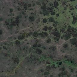 Satellite imagery of Weeding Point, NZ