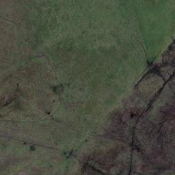 Satellite imagery of Alison Point, NZ