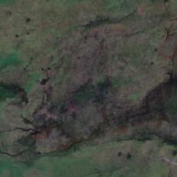 Satellite imagery of Alison Point, NZ