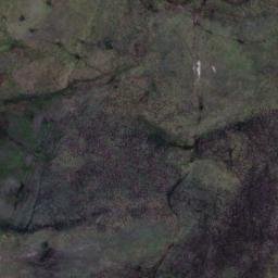 Satellite imagery of Alison Point, NZ