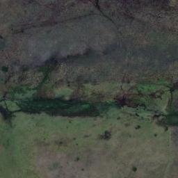 Satellite imagery of Alison Point, NZ