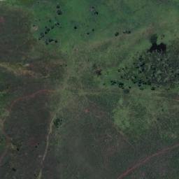 Satellite imagery of Karewa, NZ