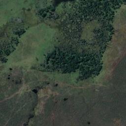Satellite imagery of Karewa, NZ