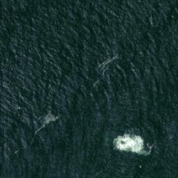 Satellite imagery of Punta Patgui, CL