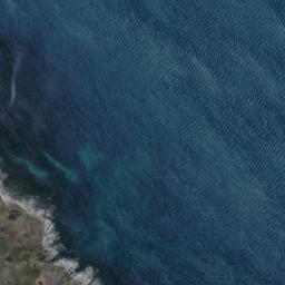 Satellite imagery of Point Young, NZ