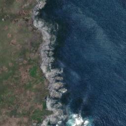 Satellite imagery of Point Young, NZ