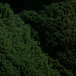 Satellite imagery of Windrow Spur, NZ