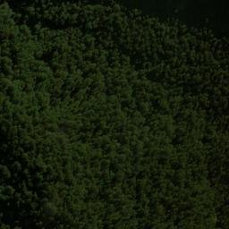 Satellite imagery of Windrow Spur, NZ