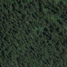 Satellite imagery of Harper Bluff, NZ