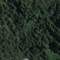 Satellite imagery of Harper Bluff, NZ