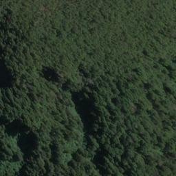 Satellite imagery of Harper Bluff, NZ