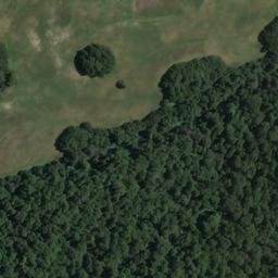 Satellite imagery of Harper Bluff, NZ