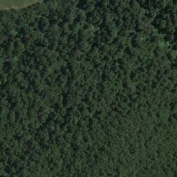 Satellite imagery of Harper Bluff, NZ