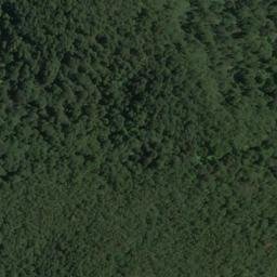 Satellite imagery of Harper Bluff, NZ