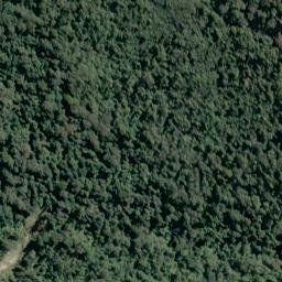 Satellite imagery of Thomas Bluff, NZ