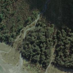 Satellite imagery of Nissens Bluff, NZ