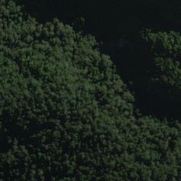 Satellite imagery of Mark Bluff, NZ