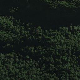 Satellite imagery of Mark Bluff, NZ