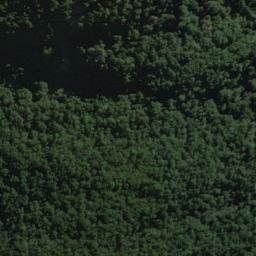 Satellite imagery of Mark Bluff, NZ