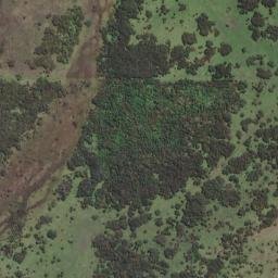 Satellite imagery of Pukutohora, NZ