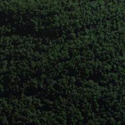 Satellite imagery of Mark Bluff, NZ