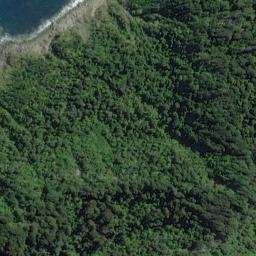 Satellite imagery of Jackson Head, NZ