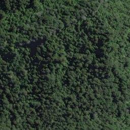 Satellite imagery of Jackson Head, NZ