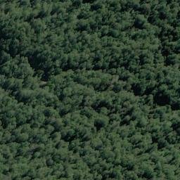 Satellite imagery of Pivot Spur, NZ