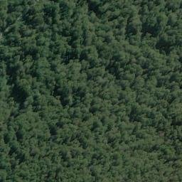 Satellite imagery of Pivot Spur, NZ