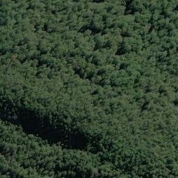 Satellite imagery of Pivot Spur, NZ