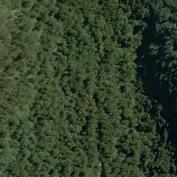 Satellite imagery of Bones Spur, NZ