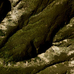 Satellite imagery of Coxfoot Spur, NZ