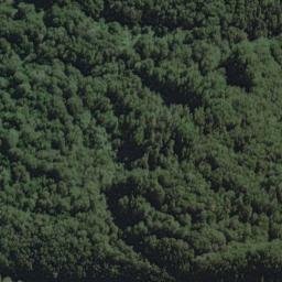Satellite imagery of Headlong Spur, NZ