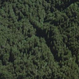 Satellite imagery of Headlong Spur, NZ