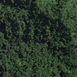 Satellite imagery of Stafford Rocks, NZ