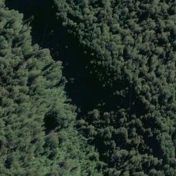Satellite imagery of Daisy Spur, NZ