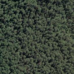 Satellite imagery of Daisy Spur, NZ