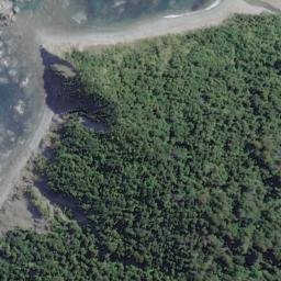 Satellite imagery of Seal Rocks, NZ