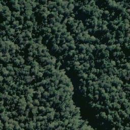 Satellite imagery of Ramsay Ridge, NZ