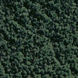 Satellite imagery of Ramsay Ridge, NZ