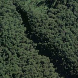 Satellite imagery of Daisy Spur, NZ