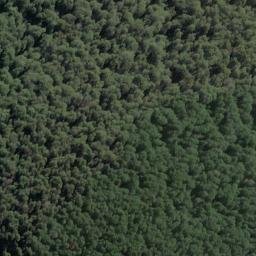 Satellite imagery of Daisy Spur, NZ