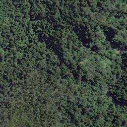 Satellite imagery of Seal Rocks, NZ