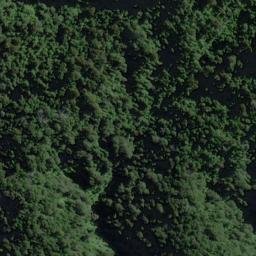 Satellite imagery of Stafford Rocks, NZ