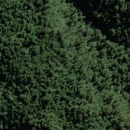Satellite imagery of Selborne Spur, NZ
