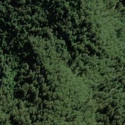 Satellite imagery of Selborne Spur, NZ