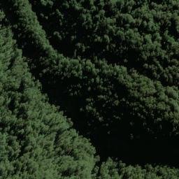 Satellite imagery of Selborne Spur, NZ