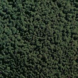 Satellite imagery of Ramsay Ridge, NZ