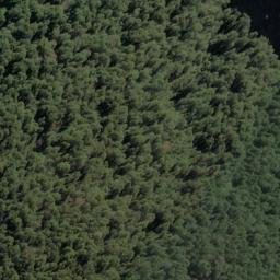 Satellite imagery of Daisy Spur, NZ