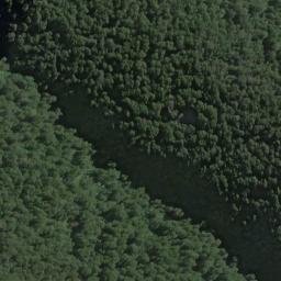 Satellite imagery of Daisy Spur, NZ